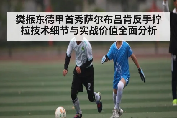 樊振东德甲首秀萨尔布吕肯反手拧拉技术细节与实战价值全面分析 | HuaTiHui